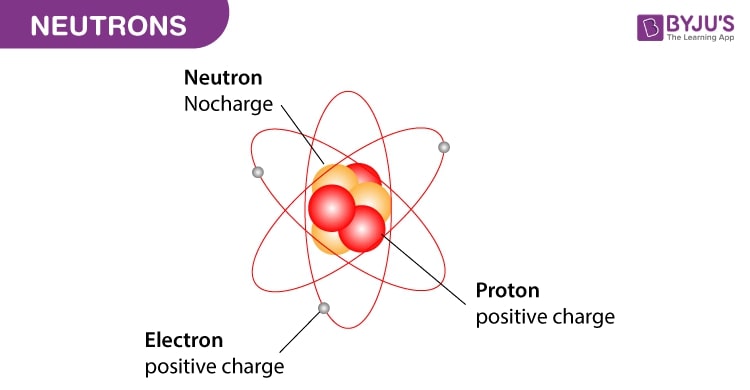 What Are Neutrons